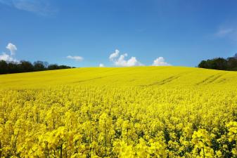 Chauffage au fioul : une &eacute;volution environnementale