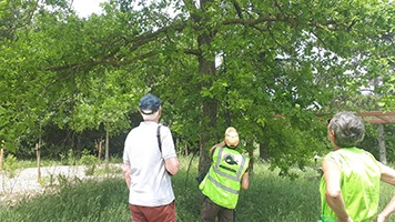 Nichoir Station Toulouse Sud Nord - Dyneff