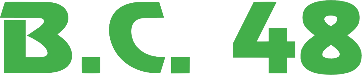 Granulés de bois BC48