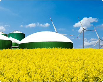 Biofioul F30 - Dyneff