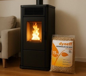 Poêle à granulés de bois - Dyneff