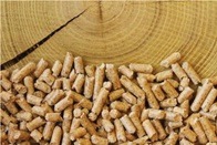 pellets pellets