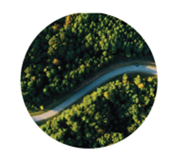 Dyneff engagé collectivement