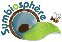 logo min_1