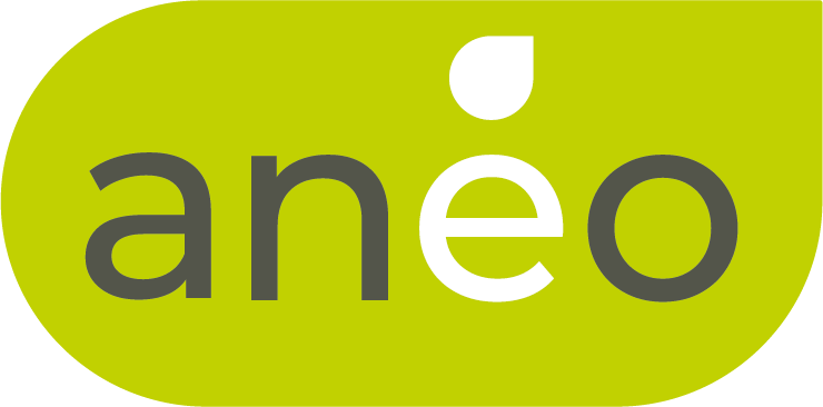 logo_aneo_rvb_sans bord logo_aneo_rvb_sans bord