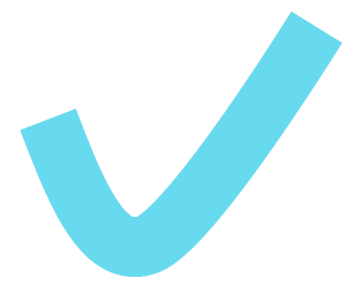 check bleu check bleu