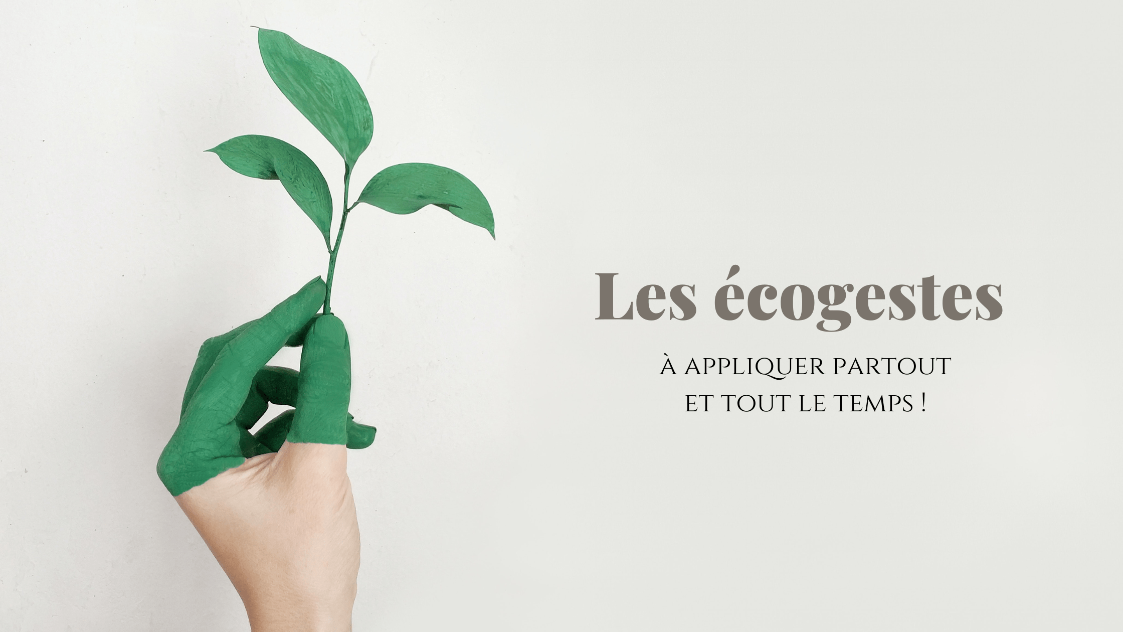 ecogestes image  ecogestes image