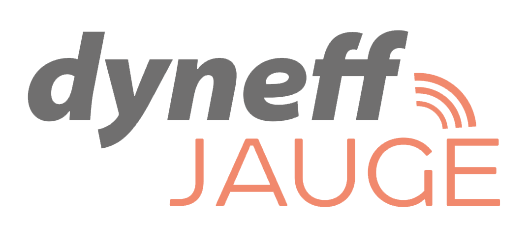 logo dyneff jauge