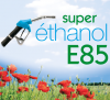 E85